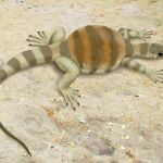 Recreación del Eunotosaurus africanus