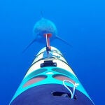 El equipo marcó cuatro tiburones blancos pero los robots interactuaron con muchos más