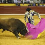 Manzanares durante la corrida en Illescas