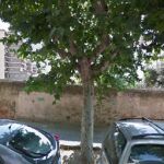 Paseo Cabanelles de Mataró, donde se encuentran los terrenos ocupados