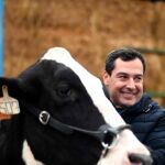 Así ha sido la campaña electoral andaluza