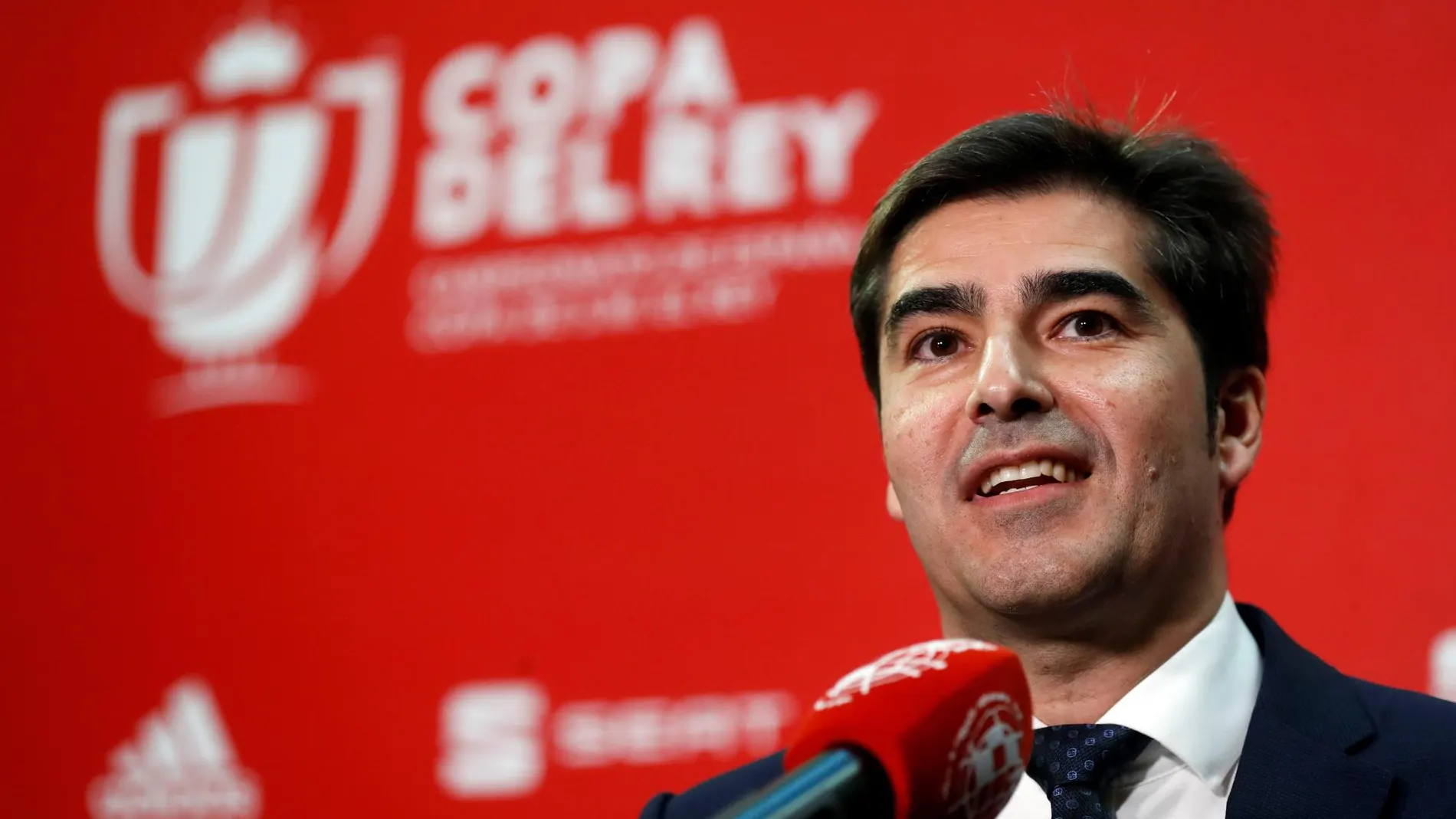 El presidente del Betis, Ángel Haro. Foto: Efe