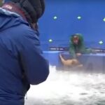 El perro en la peligrosa escena