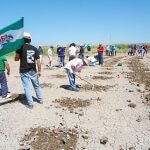 Miembros del SAT siembran frutas y hortalizas en la finca