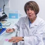 Brecha de género en Universidades y Organismos de Investigación