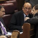 El portavoz del PP, Rafael Hernando, conversa con el portavoz del PNV, Aitor Esteban, durante un Pleno del Congreso