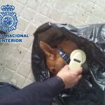 El perro arrojado por el balcón en Linares