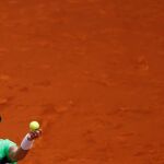 Ferrer no pudo con el japonés Kei Nishikori
