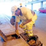El Plan de Choque de Limpieza cuenta con tres millones de presupuesto para 2016