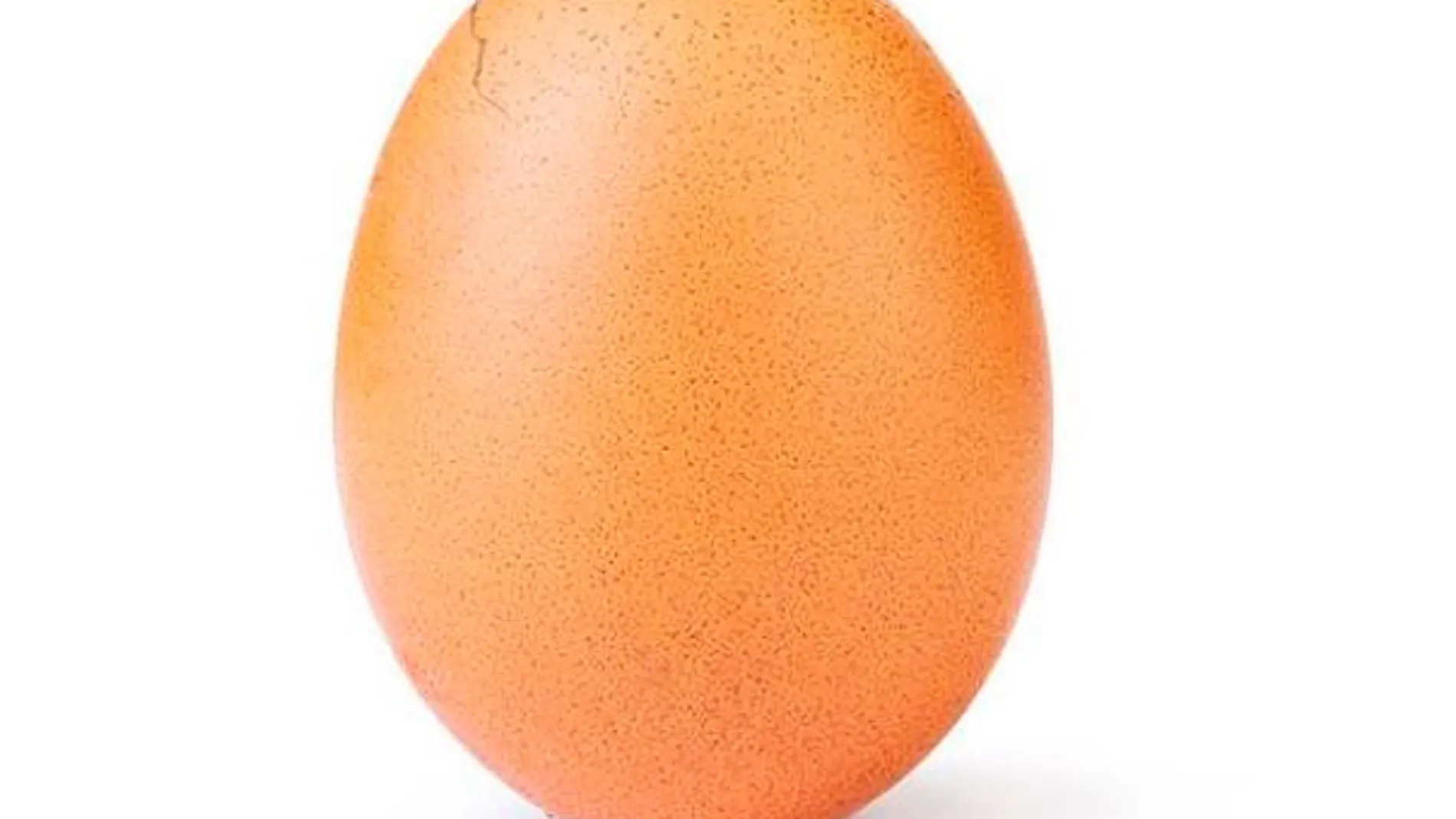 Tanto los huevos ecológicos como los huevos camperos proceden de gallinas criadas al aire libre. Sin embargo, se diferencian en la alimentación