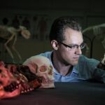 El biólogo evolutivo Alistair Evans, líder del estudio, examina una serie de moldes de cráneo de homínidos que se incluyeron en el trabajo
