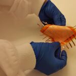 Paper Skin es una herramienta flexible y multifuncional.