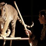 Madrid vetará los circos con animales