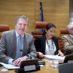 El ministro de Educación, Cultura y Deporte, Íñigo Méndez de Vigo, durante su comparecencia ante la Comisión de Educación y Deporte del Senado