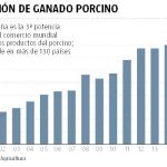 Alarma en el sector porcino por los focos de peste en Bélgica