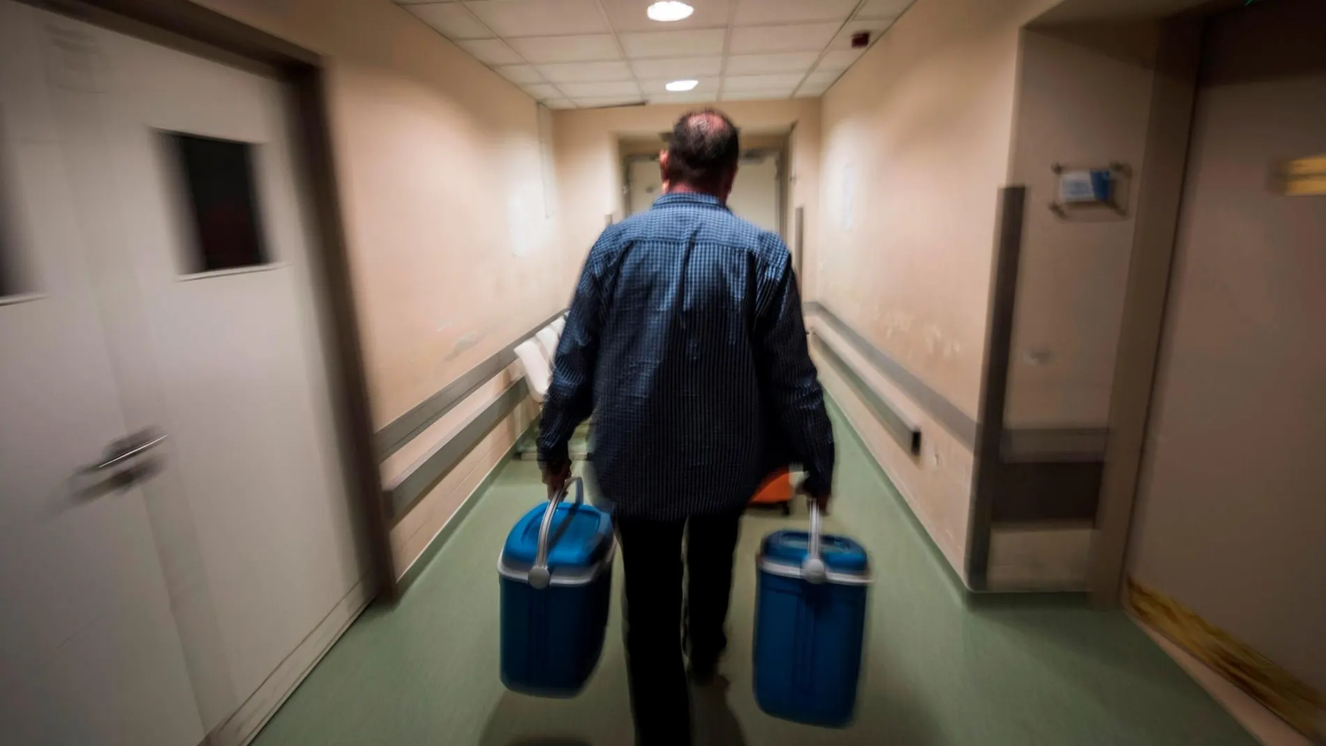 España vuelve a batir su propio récord de trasplantes