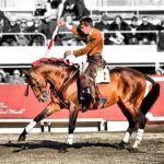 El rejoneador Manuel Manzanares colocado para banderillear