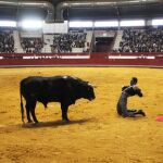 Desplante de Juan José Padilla ante el astado de Castillejo de Huebra, en la plaza de La Flecha