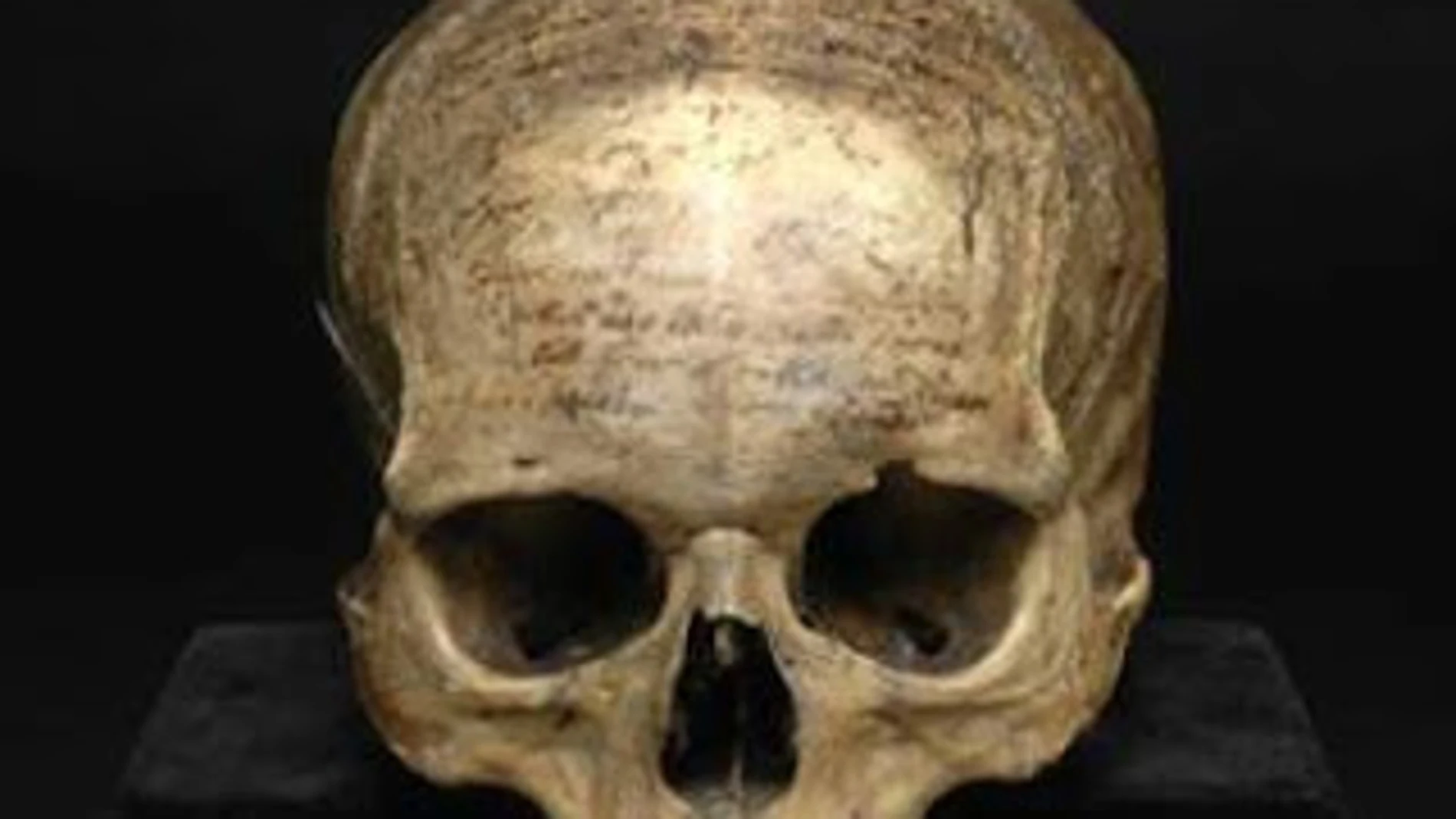 La calavera de Descartes se expone en el Museo del Hombre de París
