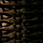 El sector del cava vive una profunda reestructuración