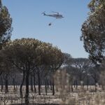 Un juzgado sevillano investiga la asignación de medios aéreos para el Plan Infoca, como el helicóptero que muestra la imagen