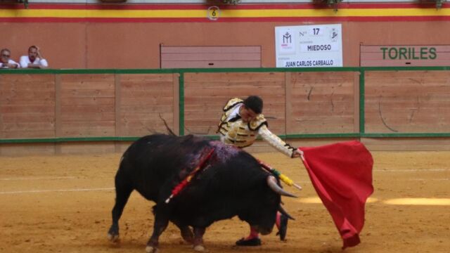 Juan Carlos Carballo dando un natural, esta tarde en Arnedo / Foto: Javier Rubio