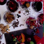 «Guía Intervinos 2013»