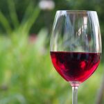 El vino tinto, la cerveza y el chocolate negro alargan la vida