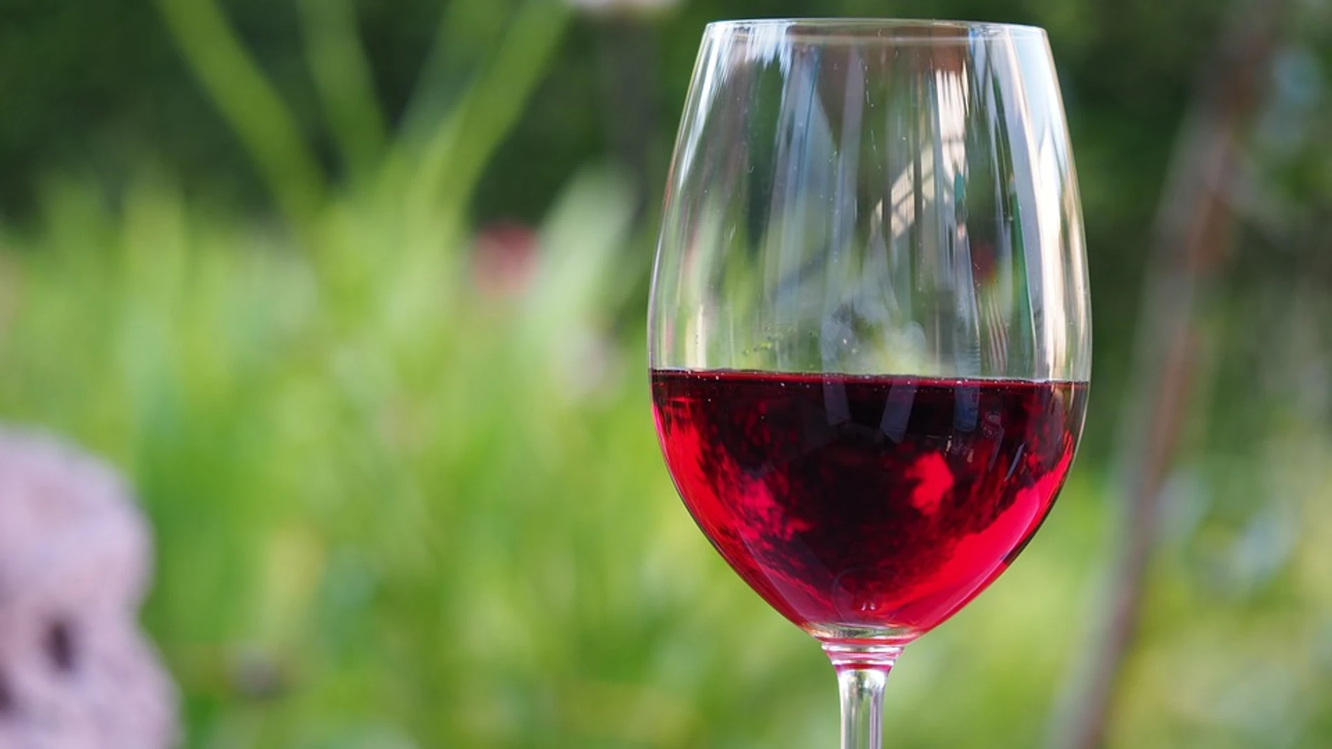 El vino tinto, la cerveza y el chocolate negro alargan la vida
