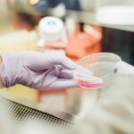 #VaccinesWork: así inmunizan las RRSS contra los antivacunas
