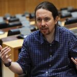 El secretario general de Podemos, Pablo Iglesias, durante la entrevista concedida a Efe en la sala de Columnas del Congreso
