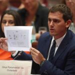 El presidente de Ciudadanos, Albert Rivera, ha descartado hoy "casualidades"cuando hay hasta seis procesos judiciales abiertos que afectan a CDC