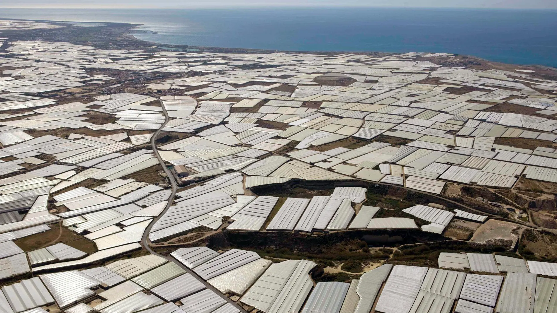 Vista general de los invernaderos de El Ejido / Efe