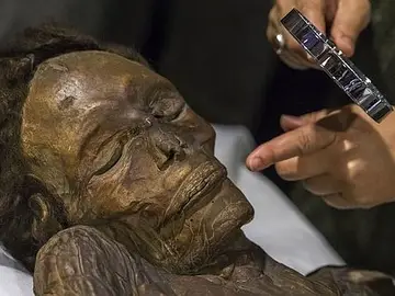 El Museo Arqueológico acoge desde hoy la momia guanche del Barroco de Herques, el mejor ejemplo de restos momificados prehispánicos El Museo Arqueológico acoge desde hoy la momia guanche del Barroco de Herques, el mejor ejemplo de restos momificados prehispánicos