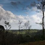 Los hechos ocurrieron en la zona rural del municipio brasileño de Camocin / Foto: Archivo