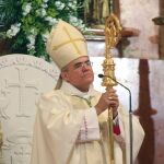 El obispo de Córdoba, Demetrio Fernández / Foto: Efe