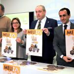 La presidenta de la Diputación, Mayte Martín, presenta la I Feria Apícola Internacional de Zamora