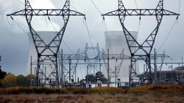 Cada año, cerca de un millón de aves mueren en España en tendidos eléctricos