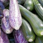 La crisis del calabacín