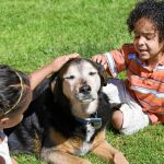 ¿Se puede querer más al perro que a un hermano?