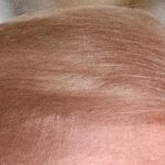 Hitler/Trump, busque y compare