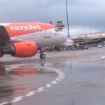 Un flamenco se pasea por el aeropuerto de Palma
