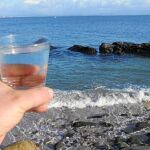 Dieta del delfín: medio litro de agua marina