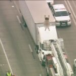 Una mujer desnuda provoca un monumental atasco en Houston
