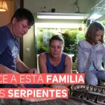 ¿Serías capaz de vivir en una casa con 40 serpientes? Esta familia rusa, sí