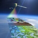 El estrés de los bosques, a vista de satélite