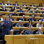 El presidente del Gobierno, Mariano Rajoy, durante su intervención al inicio del Pleno de la sesión de control al Gobierno que se celebra hoy en el Senado.