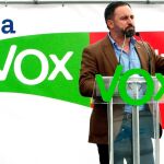 Santiago Abascal, líder de Vox