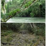 Combo de fotografías que muestran cómo se veía el río Atoyac hasta hace unos días (Arriba) y cómo se ve hoy, miércoles 2 de marzo de 2016, sin su caudal (abajo) en Veracruz (México). El río Atoyac, que atraviesa ocho municipios en la zona montañosa central del oriental estado mexicano de Veracruz, desapareció de la noche a la mañana debido a la formación de un socavón, ante el asombro de pobladores y autoridades.