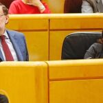 El presidente del Gobierno, Mariano Rajoy, ayer, durante la sesión de control en el Senado